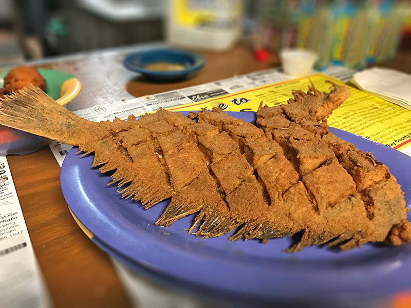 Fried Flounder