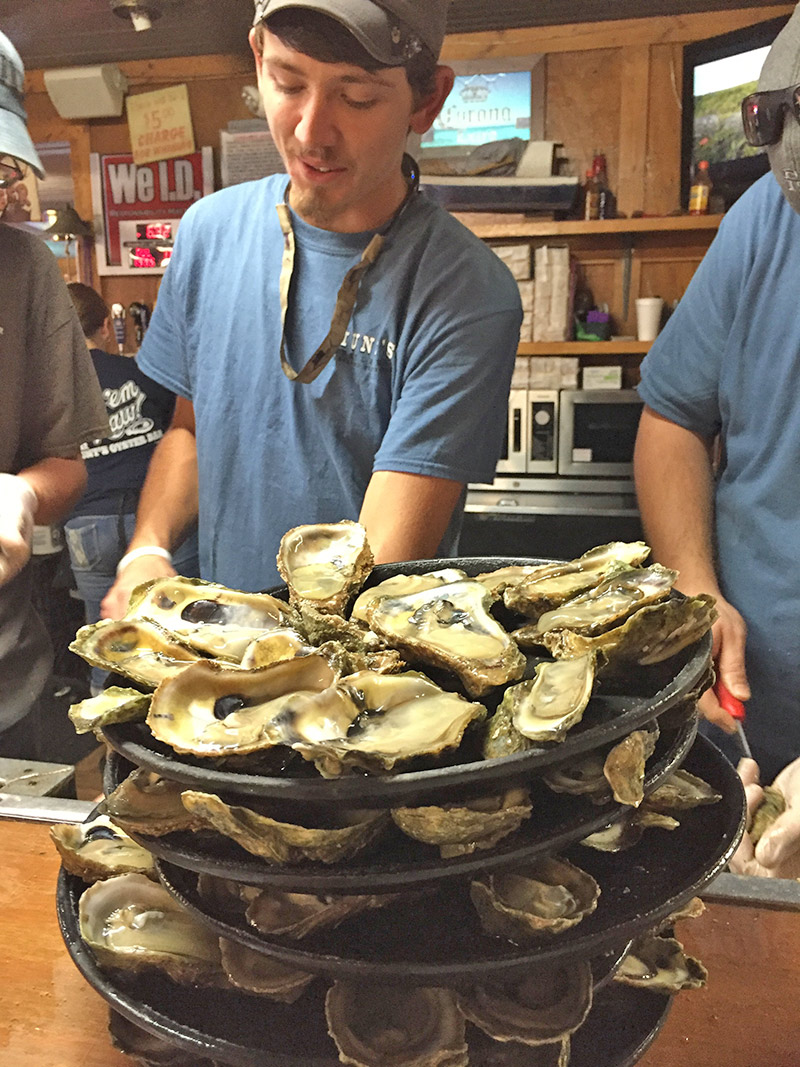 Oyster Shucker